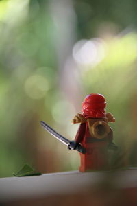 Close-up of red flowering plant