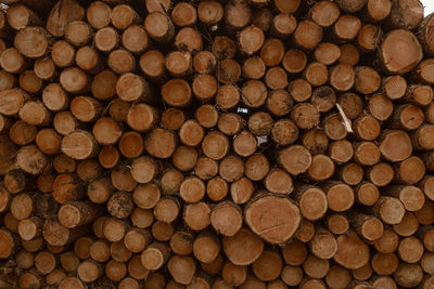 Full frame shot of logs in forest