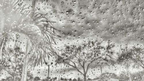 Close-up of water drops on glass