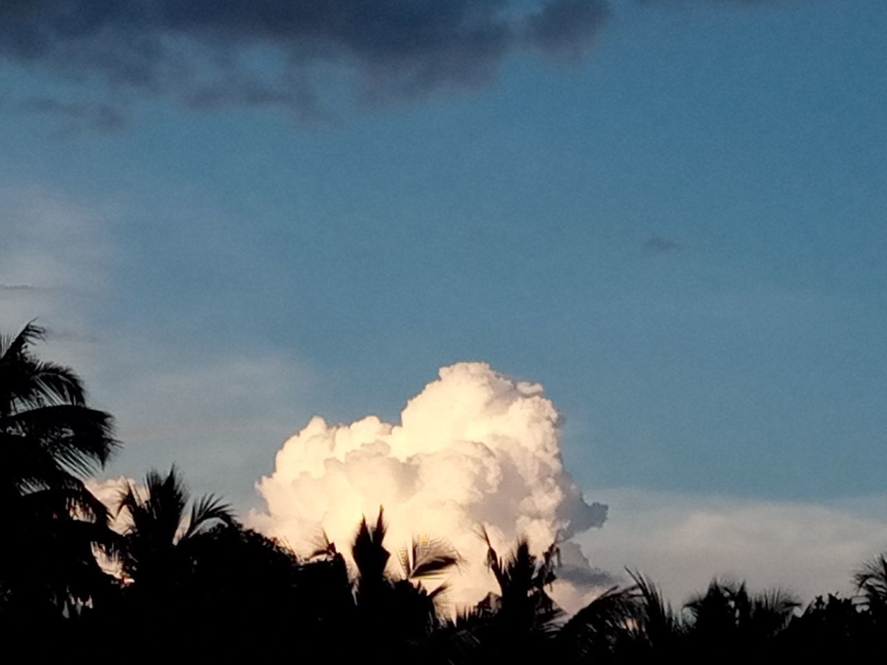 sky, cloud, tree, silhouette, plant, nature, beauty in nature, dusk, sunlight, no people, low angle view, scenics - nature, tranquility, outdoors, environment, evening, darkness, tranquil scene, growth, sunset, horizon