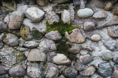 High angle view of stone wall