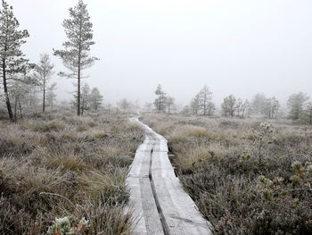 Empty footpath in forest against sky