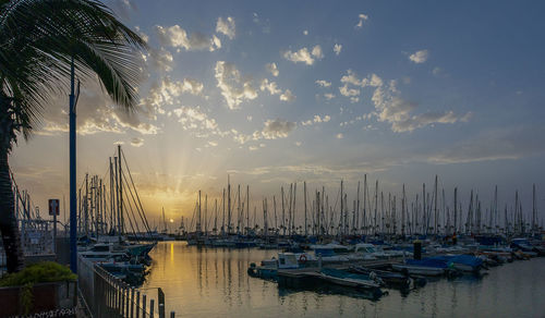 Sailboats moored in harbor at sunset