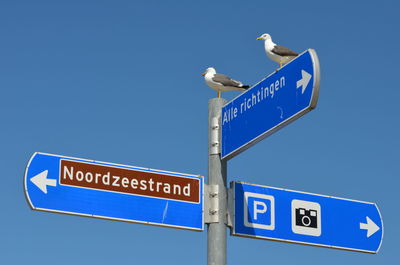 Low angle view of road sign against clear blue sky