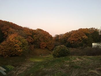 Trees on field against clear sky