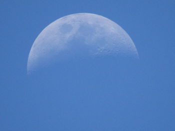 Low angle view of tree against blue sky