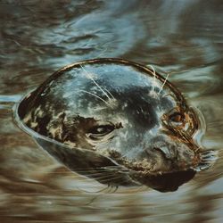 High angle view of fish swimming in sea