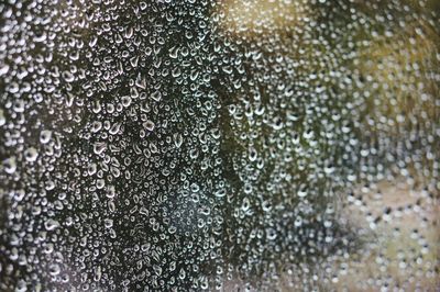 Close-up of water drops on window