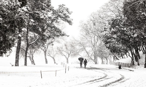 People walking on snow covered land