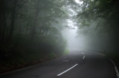 Road amidst trees against sky