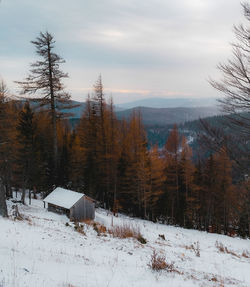 Scenic view of snow covered landscape