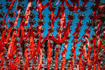 Low angle view of red flowering plants