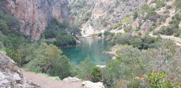 Scenic view of river amidst trees in forest