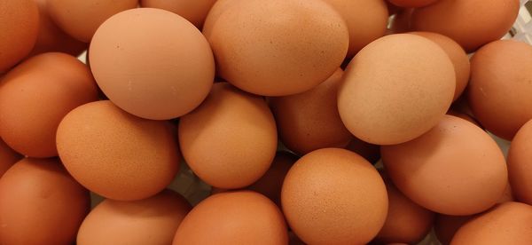 Full frame shot of eggs in market