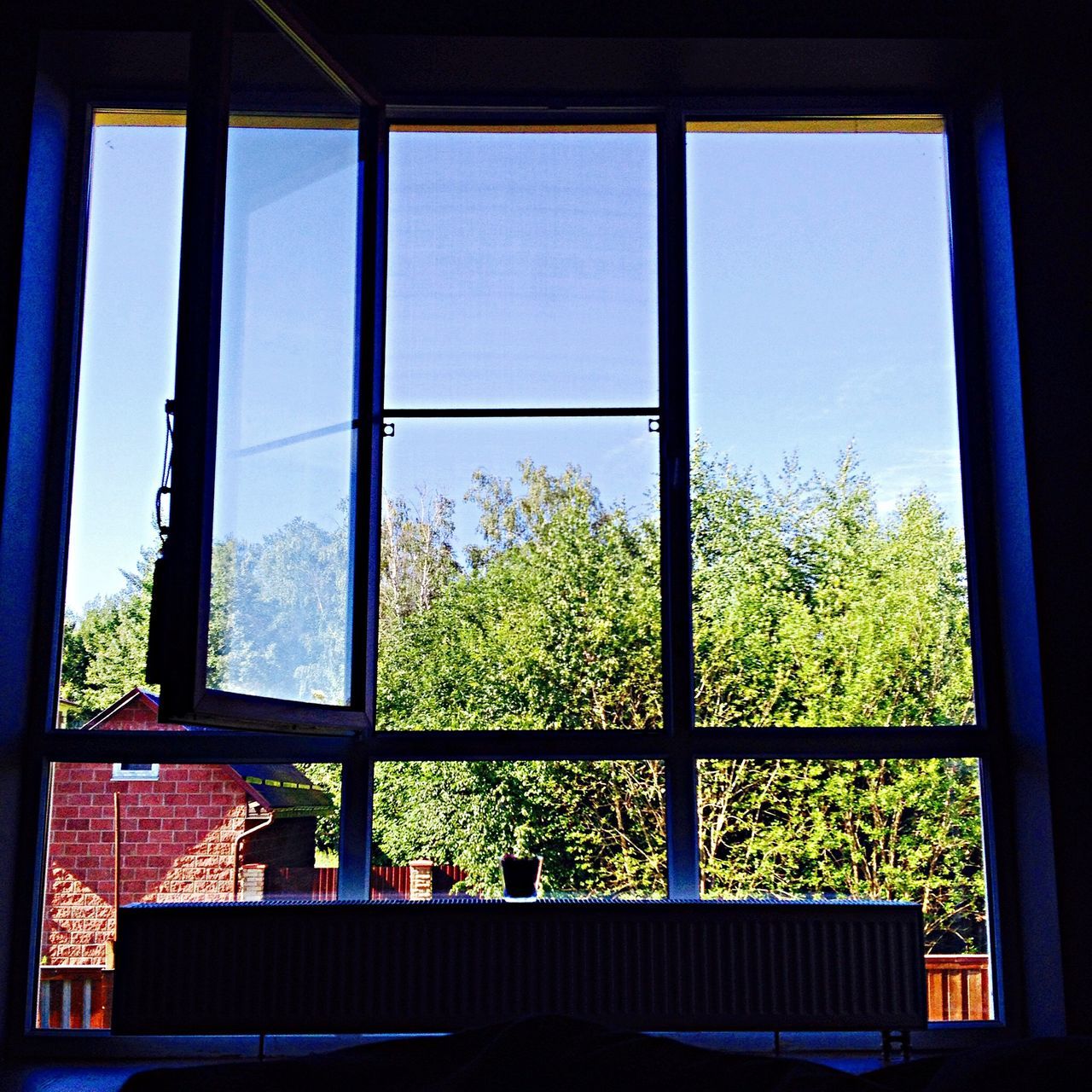 window, indoors, glass - material, transparent, tree, built structure, architecture, house, glass, growth, window frame, day, plant, sky, green color, looking through window, building exterior, home interior, window sill, sunlight