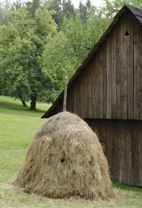 Hay bales in field