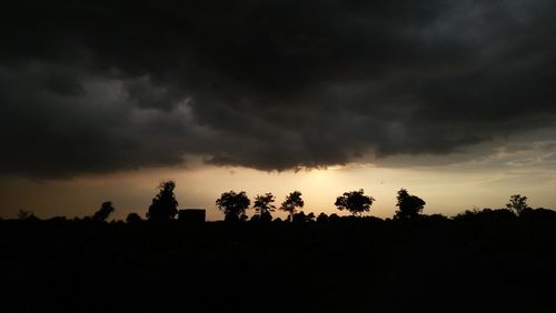 Silhouette of trees against dramatic sky