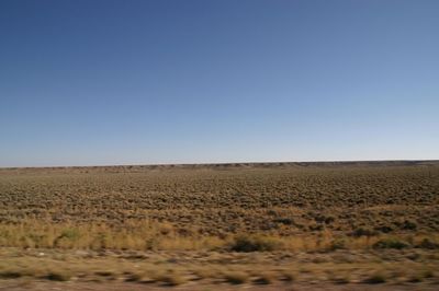 Scenic view of landscape against clear sky