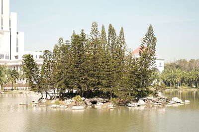 Plants by lake against sky