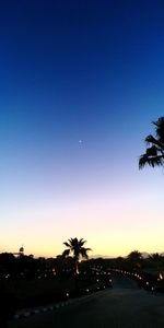 Silhouette palm trees against clear sky at sunset