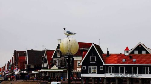 Low angle view of bird perching on roof