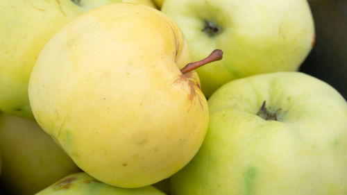 Close-up of apple