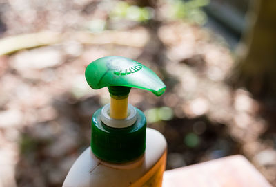 Close-up of green holding bottle against blurred background
