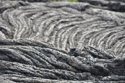 Close-up of lava field