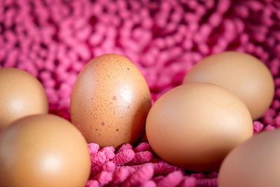 Close-up of eggs on pink rug