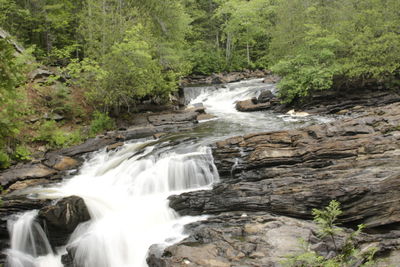 Stream flowing through rocks in forest