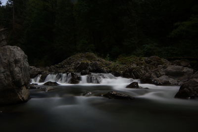 Scenic view of waterfall in forest