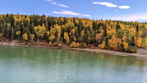 Scenic view of river lake by fall trees against sky