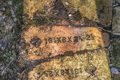 High angle view of text on tree trunk