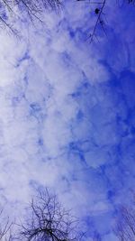 Low angle view of bare trees against cloudy sky