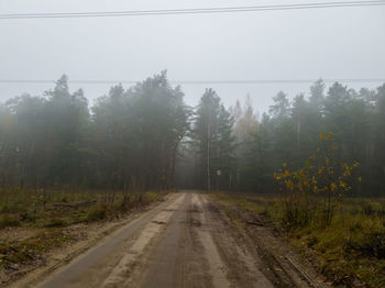 Road amidst trees against sky