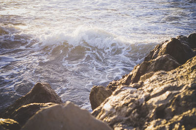 High angle view of rocks on beach