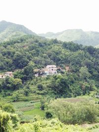 Scenic view of trees and mountains against sky