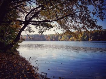 Scenic view of lake against sky during autumn