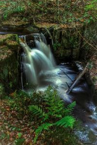 Waterfall in forest