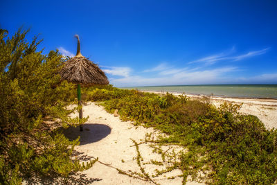 Scenic view of beach against sky