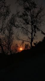 Silhouette trees against sky during sunset