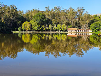 Scenic view of lake by trees against sky