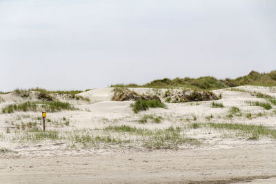 Scenic view of beach against clear sky