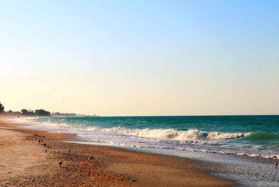 Scenic view of beach against clear sky