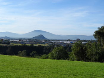 Scenic view of field against sky
