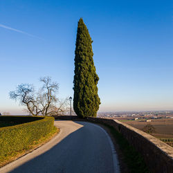 Road amidst trees on field against clear blue sky