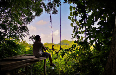 Rear view of man sitting on bench