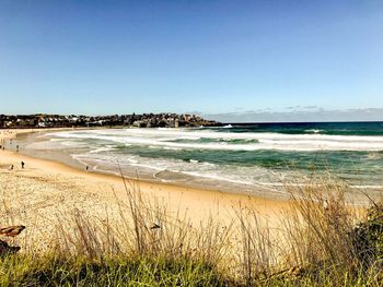 Scenic view of beach against clear sky