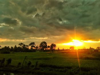 Scenic view of field against sky during sunset