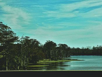 Scenic view of lake in forest against sky